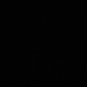 Meet your Posher, Jade